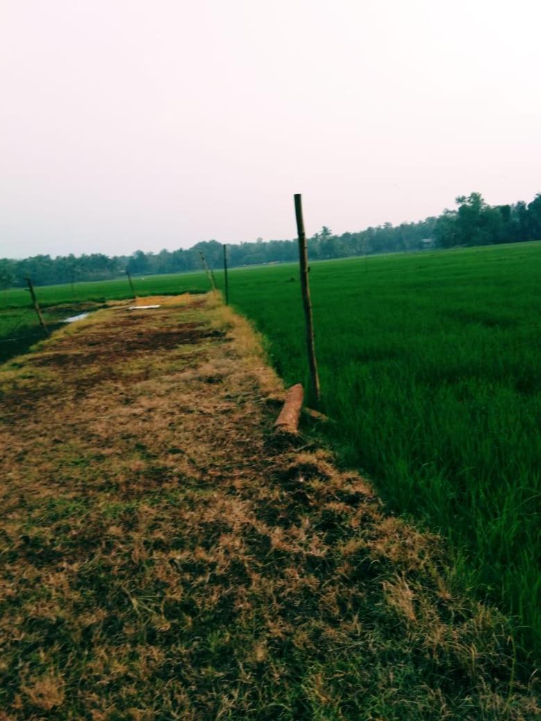 Thomman'S Farm Stay Kottajam Kültér fotó